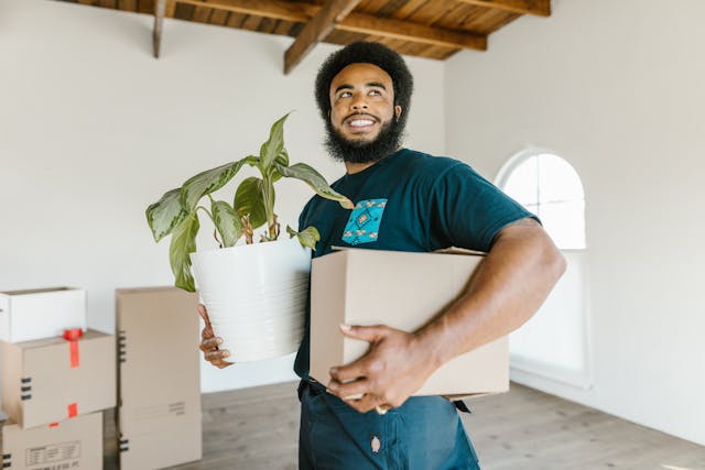 Person holding box and medium sixe plant